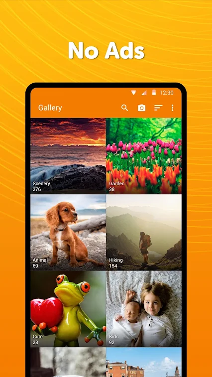 simple gallery pro apk